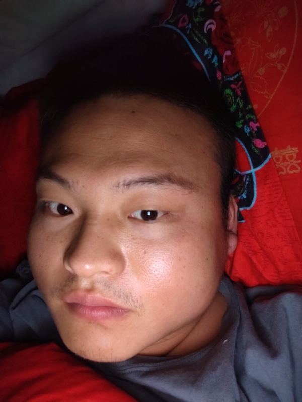 大黄的第一张照片--合肥上门女婿服务网